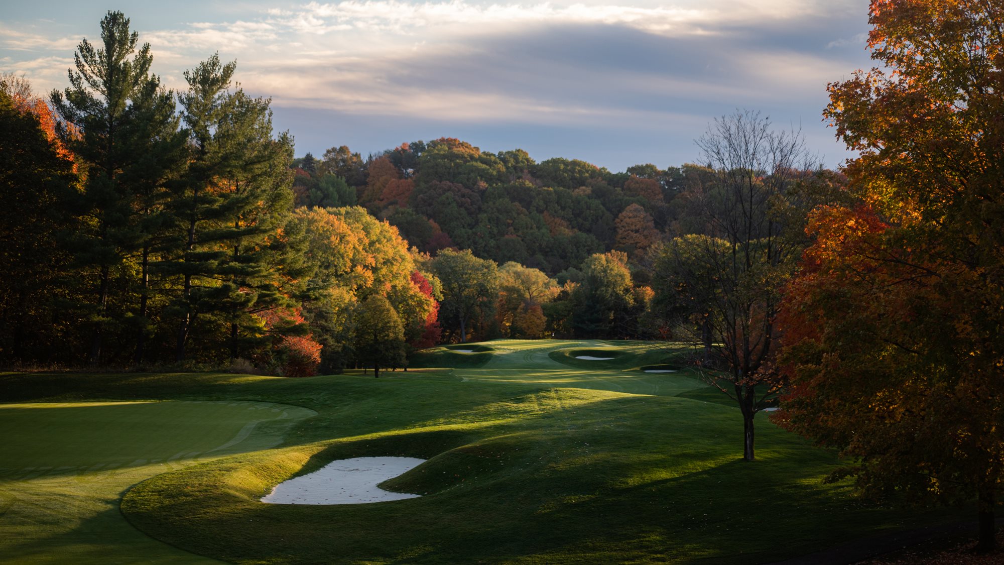 Home - Rosedale Golf Club